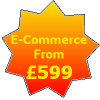 Ecommerce from £599